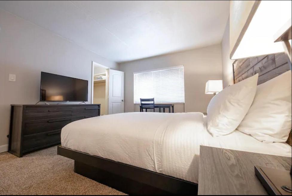 טאמפה Modern Westshore Apartment מראה חיצוני תמונה