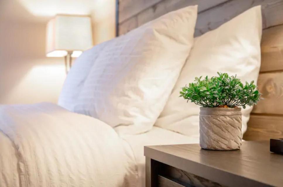 טאמפה Modern Westshore Apartment מראה חיצוני תמונה