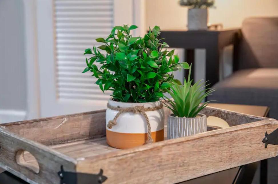 טאמפה Modern Westshore Apartment מראה חיצוני תמונה