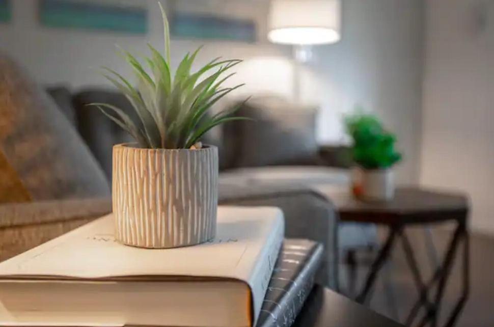 טאמפה Modern Westshore Apartment מראה חיצוני תמונה